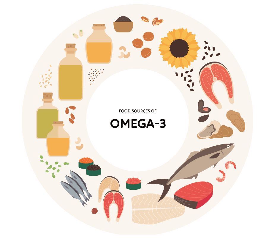 一般來說，動物來源的Omega-3提供EPA和DHA，而植物來源多含有ALA。圖/123RF