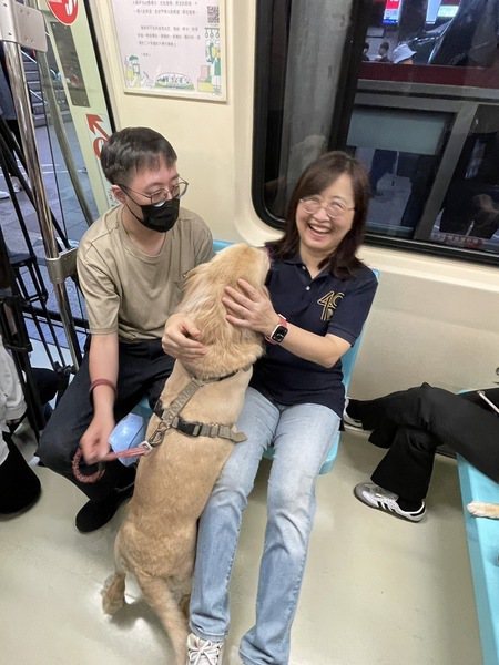 台北捷運31日響應國際寵物日，於31日推出「寵物友善列車」，台北市副市長林奕華一搭上捷運，就有黃金獵犬就撲上來。台灣醒報記者／簡嘉佑 攝影