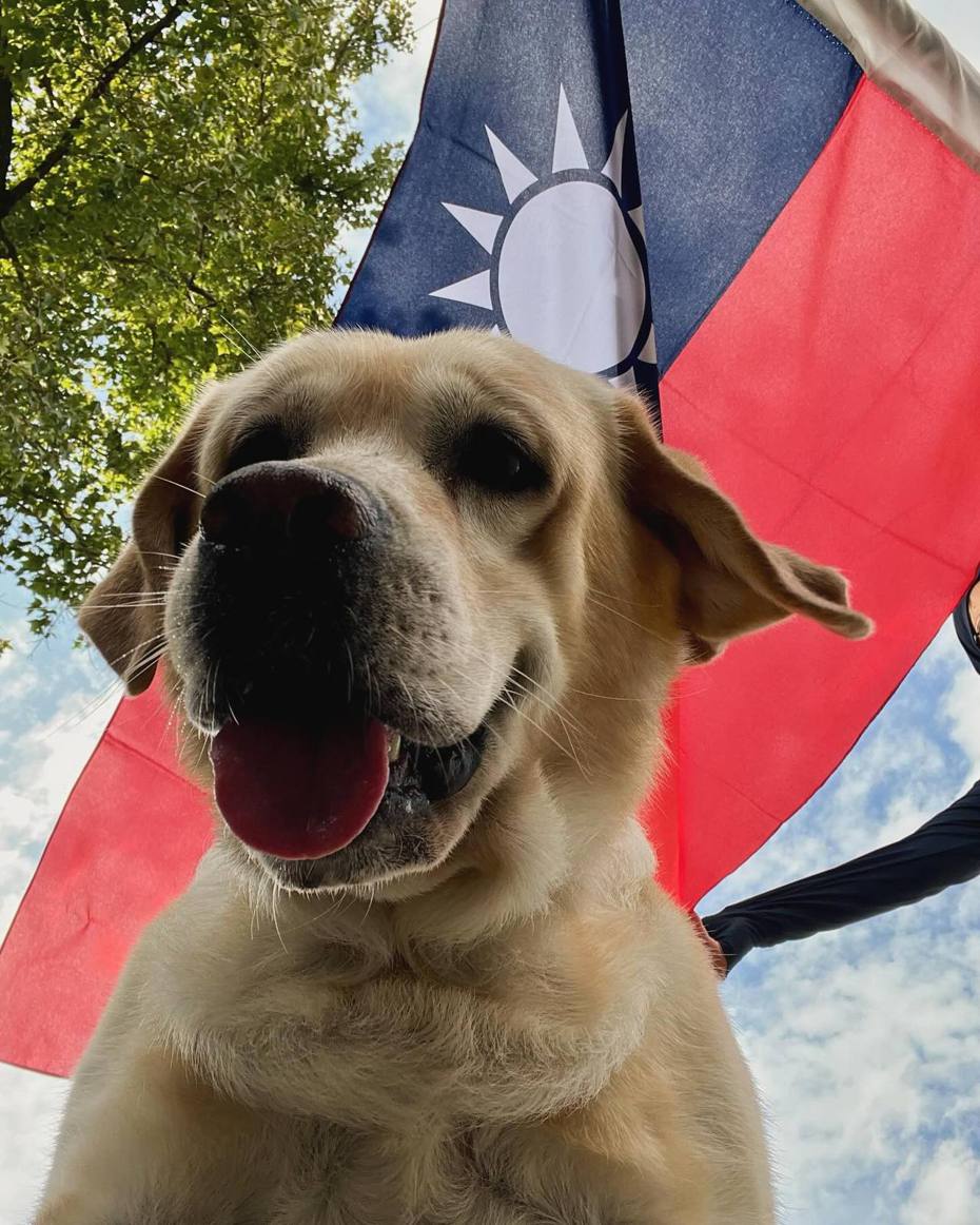 警犬「福星」可愛依舊，只是少了粉嫩，因為牠要退休了。 圖／警犬福星臉書粉專