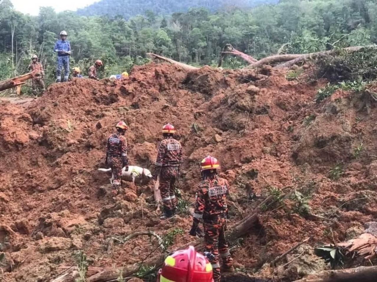 馬來西亞營地坍方第3天尋獲生還者機會渺茫| 聯合新聞網 – 聯合新聞網