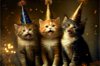 貓友聚會可以帶貓咪同樂嗎？專家直言「非常糟糕」喵星人恐嚇到全身僵硬