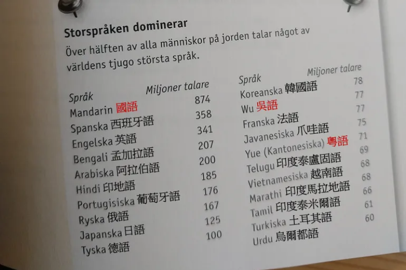我在瑞典國文課上學到，全世界前20大語言的使用人口，佔全球人口的一半。在前20大語言當中，包含了「國語Mandarin」、吳語和粵語三種漢語。圖中數字是該語言的總使用人口（百萬）。 圖／取自瑞典國文課本選文，作者提供