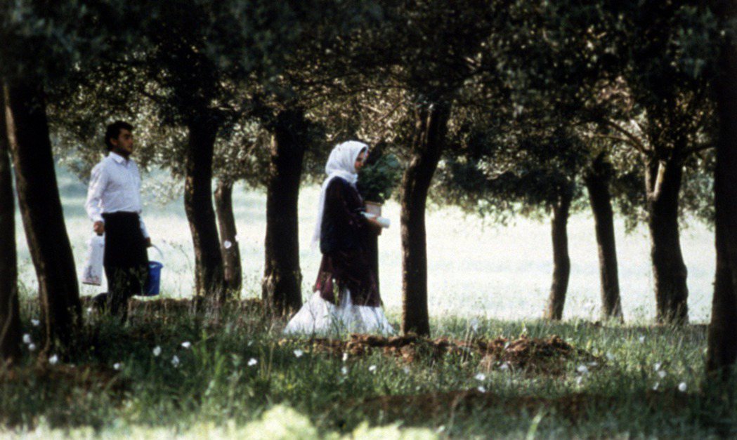 《橄欖樹下的情人》劇照。 圖／取自IMDb