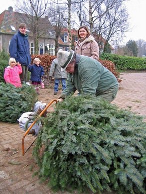 大部分的荷蘭人喜歡買新鮮的針葉樹當耶誕樹，這些賣樹的攤販傳統來說只在聖尼可拉斯節後才會出現，但近年來提前開賣的情況已很常見。 圖／陳宛萱