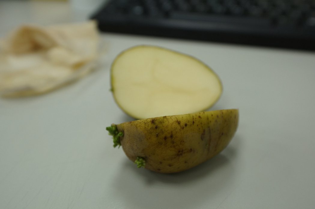 「綠薯條」的綠色有可能來自龍葵鹼。圖／衛福部食藥署