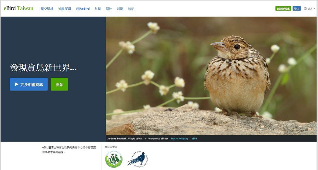 eBird是一個蒐集了全世界超過30萬用戶賞鳥紀錄的資料庫與共享平台。 圖／截自eBird官網