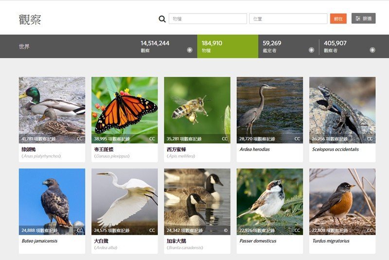 iNaturalist類似生物調查的社群軟體，任何人的生物觀察都可以拍照上傳，累積資料。 圖／截自inaturalist官網