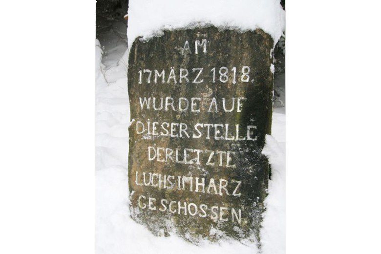 立於1893年的碑文：「在1818年3月17日哈茲最後一隻猞猁在此處被槍殺。」這隻猞猁被做成標本，目前陳列在Braunschweig自然歷史博物館裡。
 圖／取自Das Luchsprojekt Harz