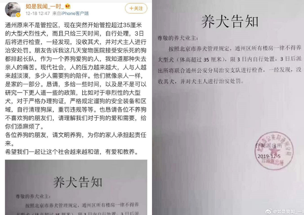 中國歌手朴樹在微博上分享「北京禁狗令」的消息引發討論。 圖／朴樹微博