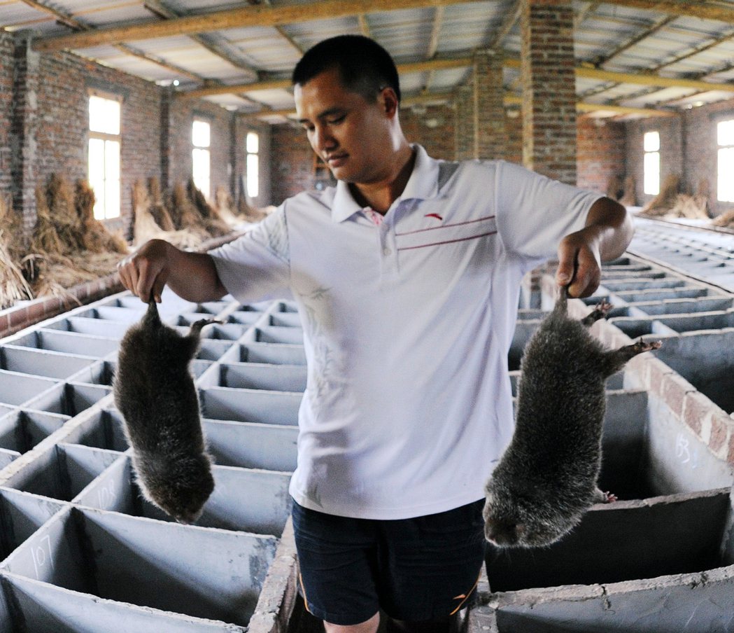 中國官方2月在全國人大常會通過：將全面禁止野生動物的交易與實用，聲稱要「革除濫食...