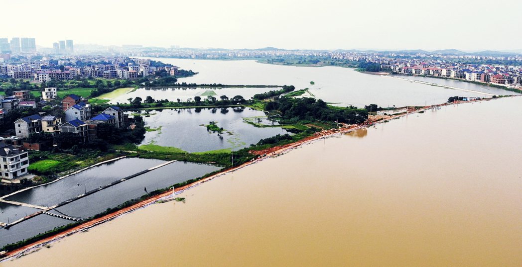 江西鄱陽縣長江流域，將淹過堤防的洪水災情。 圖／新華社