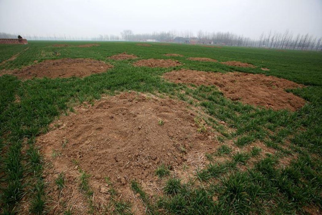 2012年河南省出現了官方帶頭的「平墳運動」，為了增加耕地面積和建設用地，而把當...