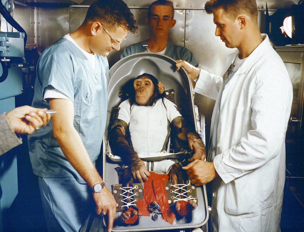 圖為第一隻被送上太空的黑猩猩漢姆，牠同時也是被納入NASA水星計畫的黑猩猩之一。...