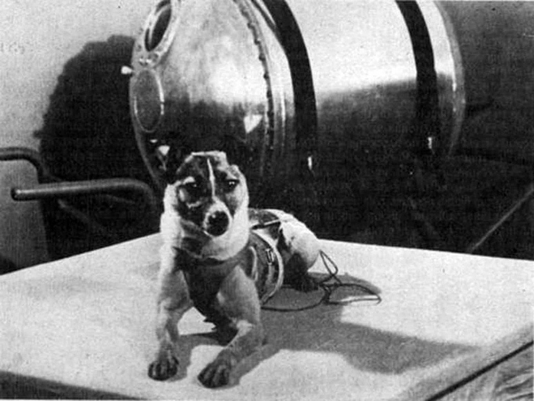 萊卡原本只是隻流連於莫斯科街頭的流浪犬，卻在蘇聯科學家有計畫實施「太空計畫」的目...