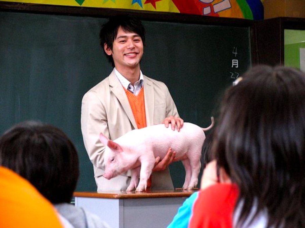 時任國小老師黑田恭史讓六年級學生飼養小豬，最後在畢業當天將小豬送去屠宰場。這個教...