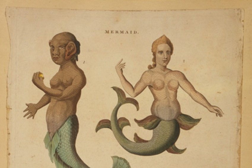 D. Henry聲稱人魚有兩類，暗指Jacques Fabien Gautie的人魚醜陋，有著白人女性長相優於黑人女性的意味。圖為18世紀人魚形象版畫。 圖／美國國會圖書館
