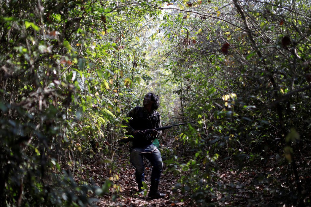 廣闊的亞馬遜雨林中最終仍是毒梟、黑幫與武裝衝突的戰場，佈滿威脅。 圖／路透社　
