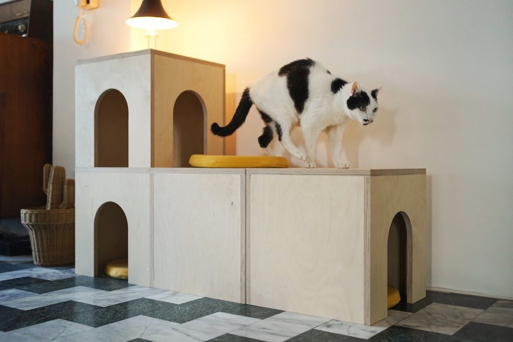 方序中為貓設計的「窩凳」。圖｜高雄市動保處提供、攝影｜方序中