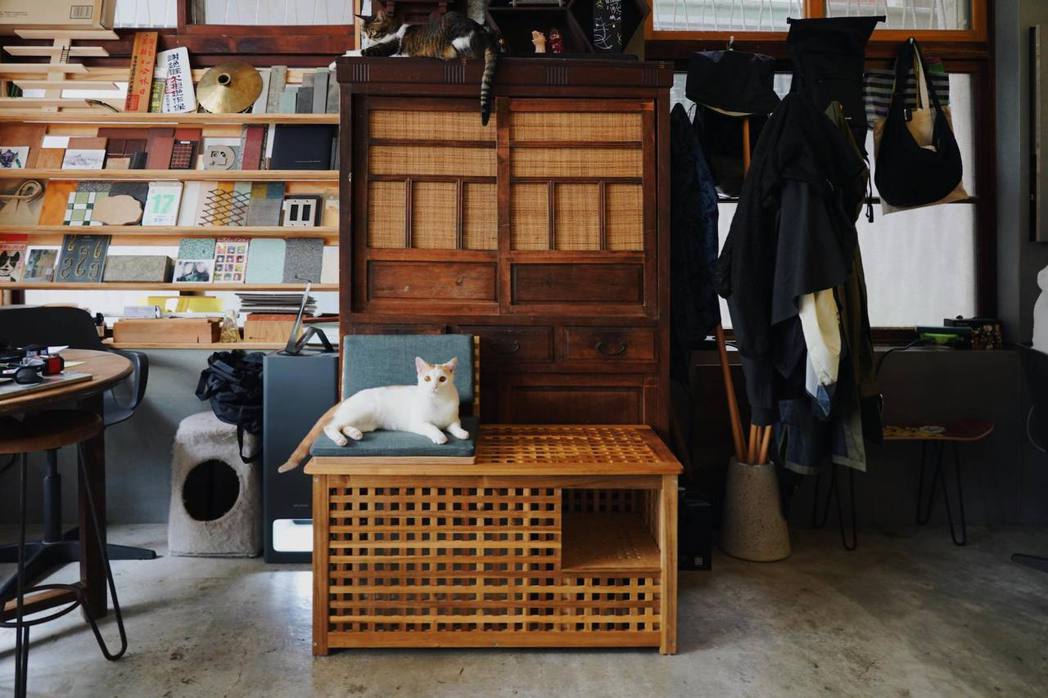 本事空間製作所設計的「櫃式貓砂盒」。圖｜高雄市動保處提供、攝影｜本事空間製作所