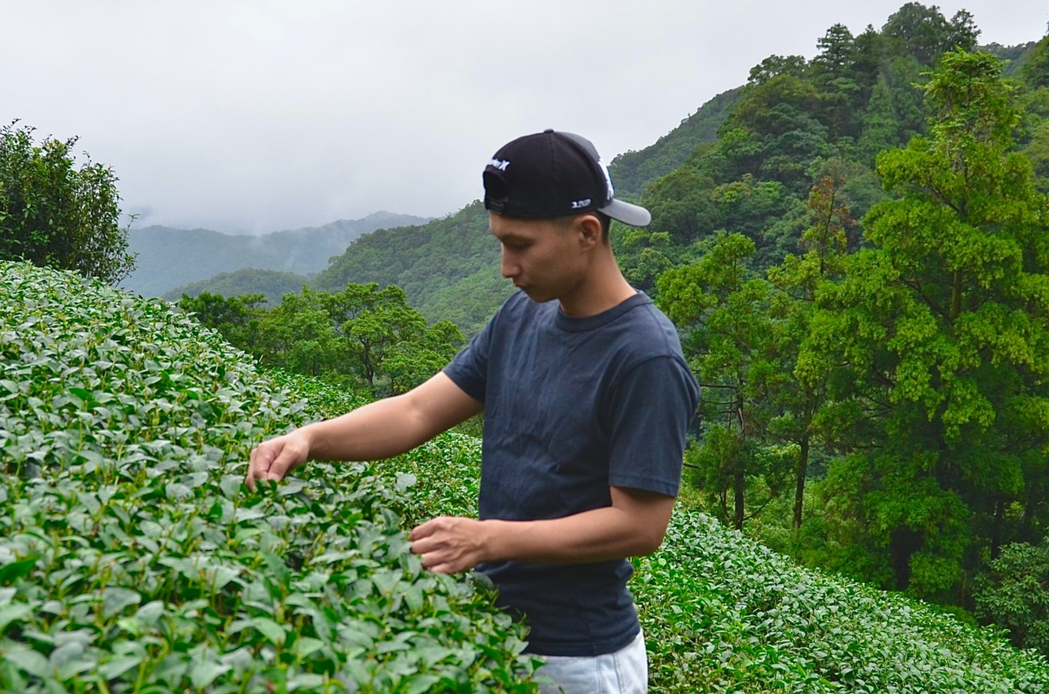 白青長茶作坊第五代傳人白俊育講述茶葉採摘技巧。 圖／高甄禧攝影