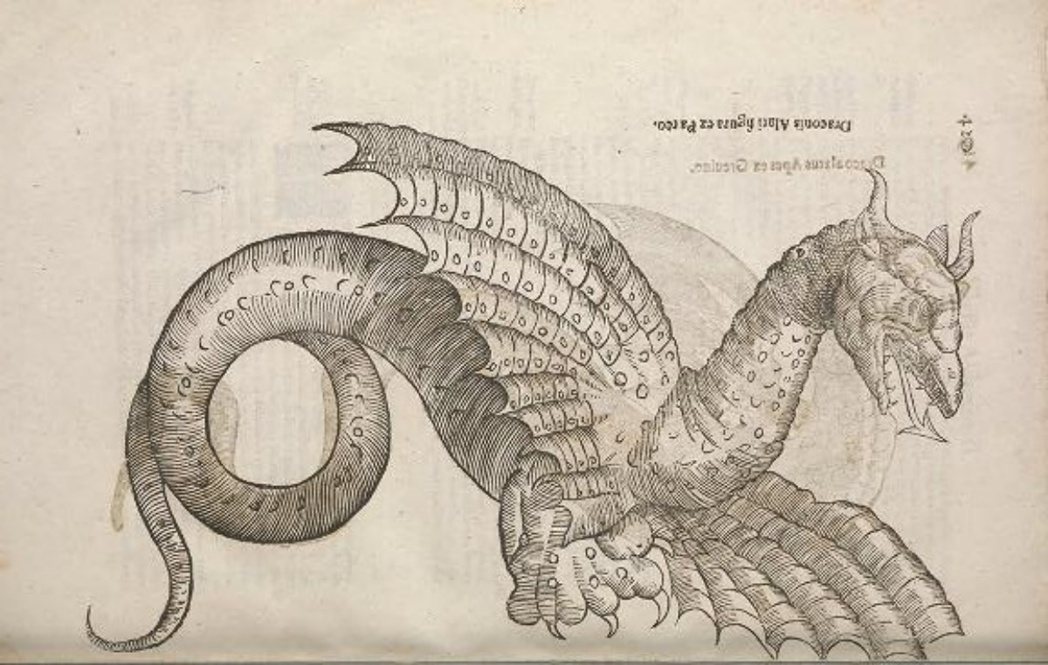 近現代歐洲博物學者眼中的龍。除了《聖經》傳統中的惡龍，也有越來越多作為自然界生物...