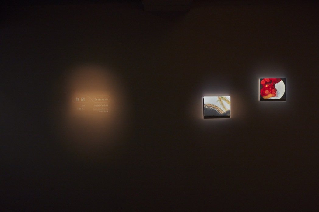 2018年「薩伊夫．加里波第：無窮」展覽現場。 圖／安卓藝術提供
