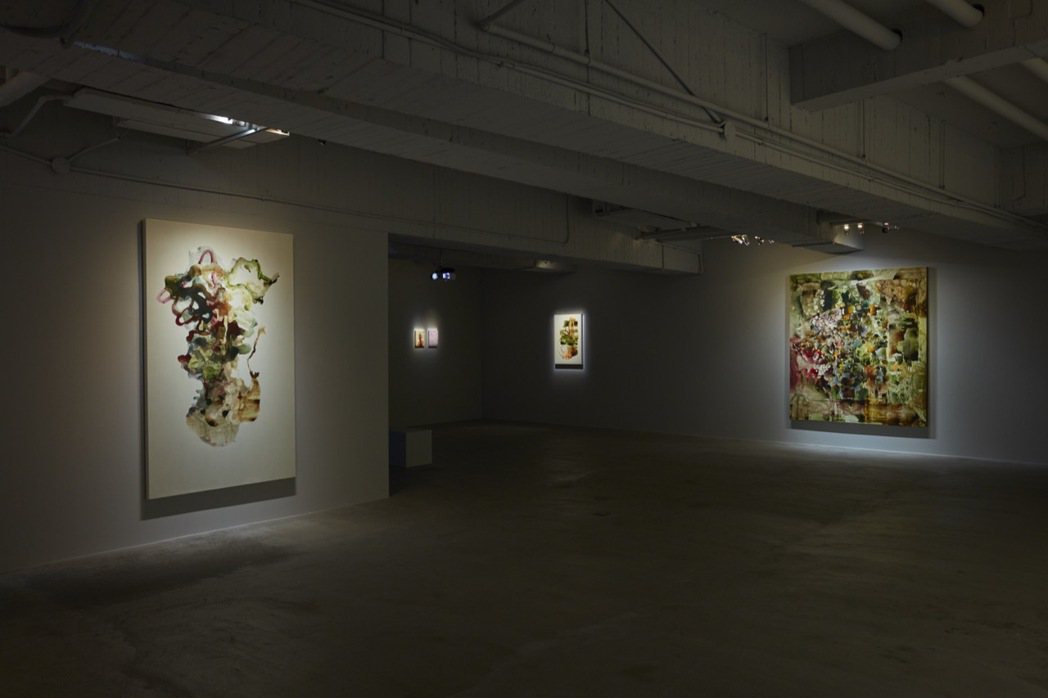 2018年「薩伊夫．加里波第：無窮」展覽現場。 圖／安卓藝術提供