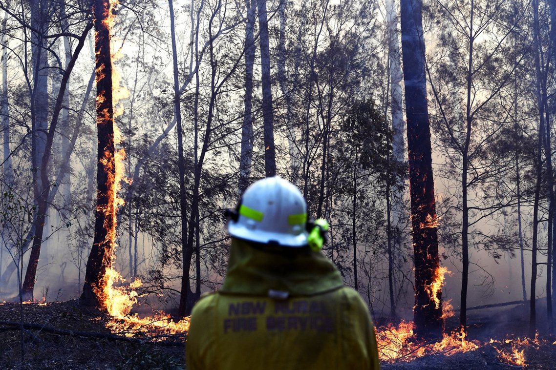 直到12月27日為止，全澳洲共有500萬公頃的林地被燒成灰燼（1.5個台灣）；其...