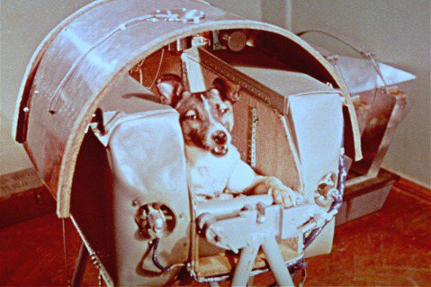 萊卡被裝置在極小空間的太空艙中，僅能站、臥，無法轉身。艙內有氧氣供應及二氧化碳回...