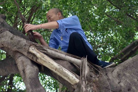 韓國瑜爬樹看到樹洞後，更應該做什麼？