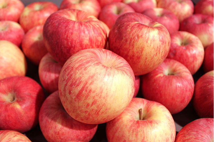 早上空腹吃蘋果好嗎？吃蘋果需要知道的5件事| 聰明飲食| 養生| 元氣網