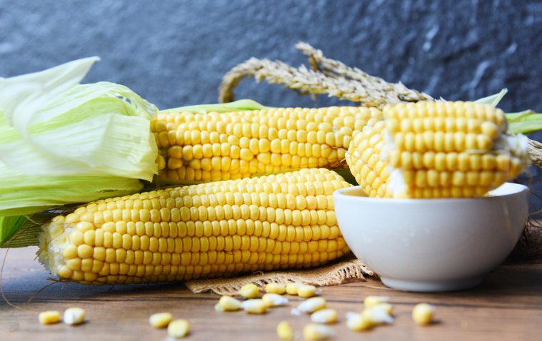 玉米含有大量的碳水化合物、豐富蛋白質、脂肪及維生素A、維生素B1、維生素B2葉黃...