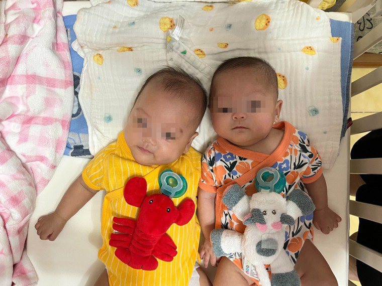 双胞胎竟差12天出生，医院救回巴掌仙子