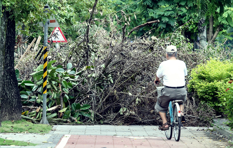 蘇迪勒颱風造成嚴重災情，台北市路樹被吹倒數量之多前所未見。 圖／報系資料圖片