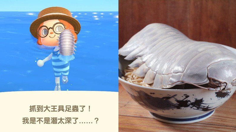在《動森》要價1萬2的「大王具足蟲」 如今台灣拉麵店也可以吃到了