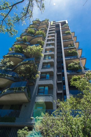 公寓住宅若餘山乍看宛如一座森林，榮獲2016日本優良設計獎。圖/半畝塘提供