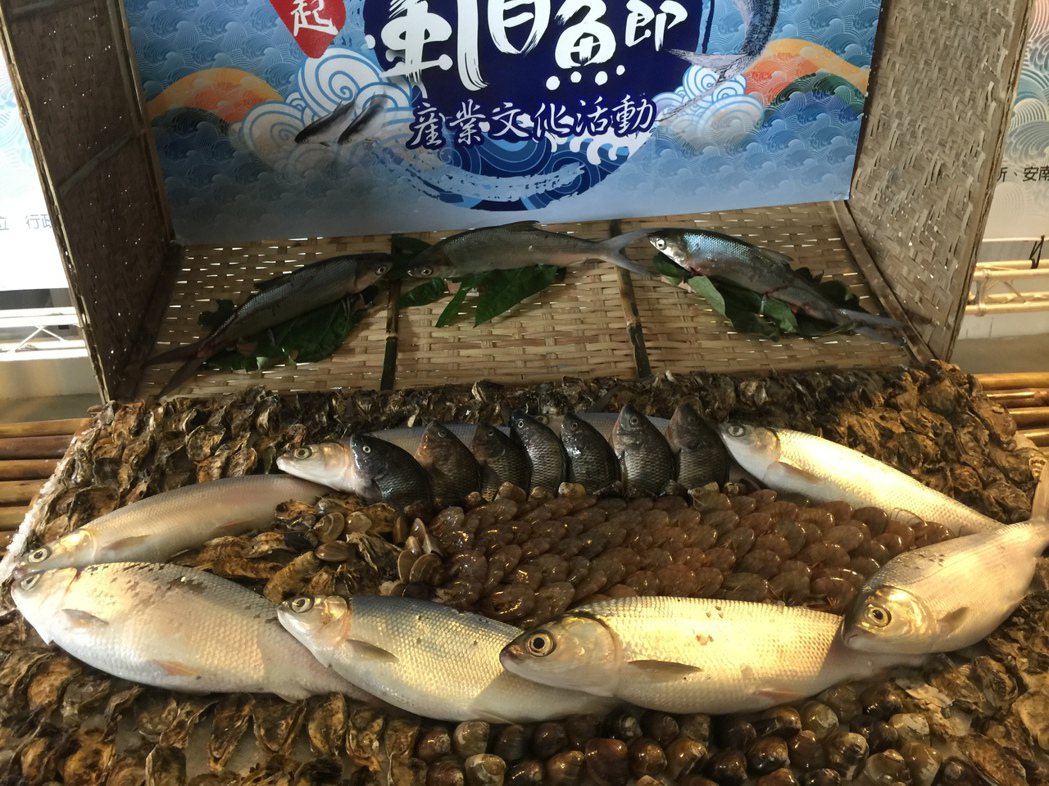 「台南虱目魚節」的圖片搜尋結果