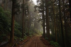 阿里山森林鐵路驚豔國際 CNN撰文介紹