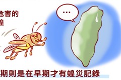 【動物冷知識】東非4千億蝗蟲大軍蠢蠢欲動 台灣會被入侵嗎？