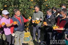 林智堅訪柑橘園：要用大新竹來提升農業觀光、照顧農民