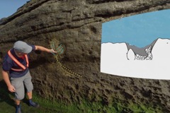 台大野柳地質公園發現巨大生痕化石 類似博比特蟲古生物