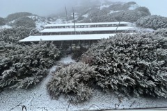 銀白世界好美！ 玉山今晨降雪 積雪1公分