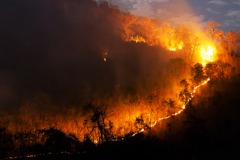 熱浪來襲引發野火 法國旅遊勝地疏散上千遊客