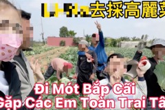 連越南選美皇后也宣傳 非法移工拉親友採農作17人落網