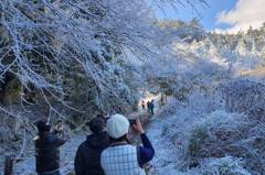 武陵農場下雪了 民眾驚嘆一片銀白世界