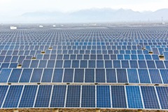 「爭不過又離不開」 美開始放進口中國太陽能板