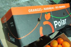 好市多「鮮橙」驗出禁用農藥 日本草莓再攔截3批