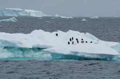研究：南極融冰加快 威脅未來數百年淡水氧氣分布