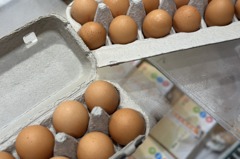 進口雞蛋等級大不同 多「1動作」冷藏保鮮期達4、5個月