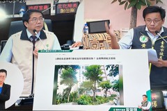 台南優良社區要砍7棵茄苳樹公民奔走護樹 黃偉哲說話了